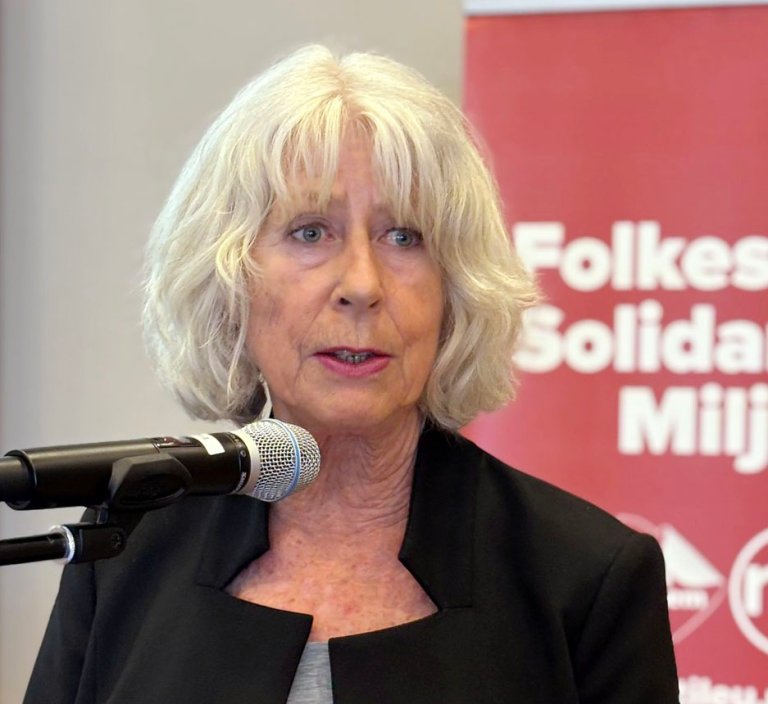 Bildet viser Toril Mongstad på talarstolen på eit Nei til EU-rådsmøte. 