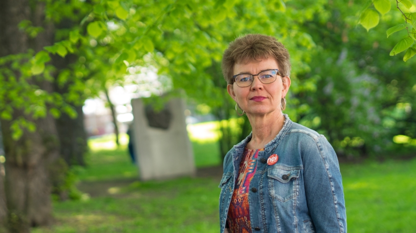 Etter valget: Et sterkt splittet EU-parlament