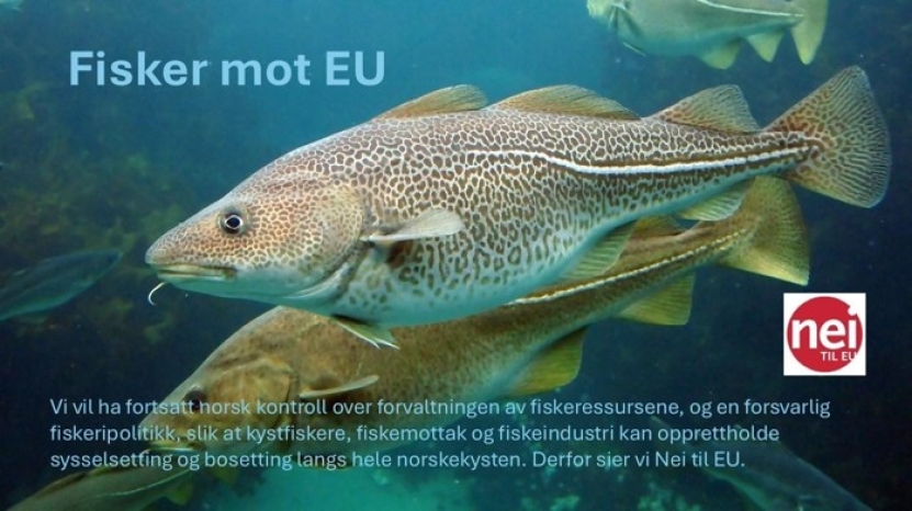 Island og EU - lokkemiddel er lagt ut!