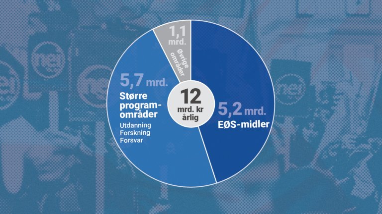 Kakediagram som viser hvordan EØS-midlene blir fordelt på ulike program.