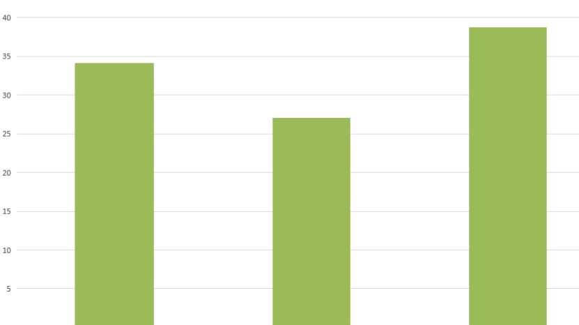 Bare 1 av 4 støtter EØS