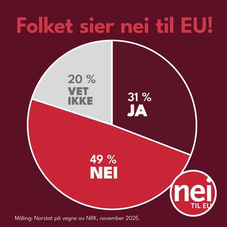 Kakediagram som viser 49% nei til EU, 31 % ja og 20% vet ikke. 