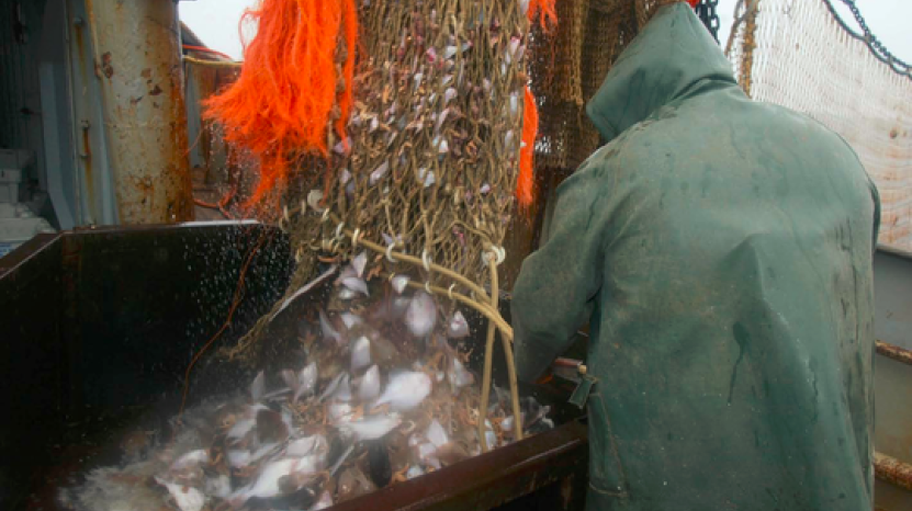 Blir det fiskekrig mellom Norge og EU?