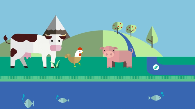 Fakta: Bruk av antibiotika