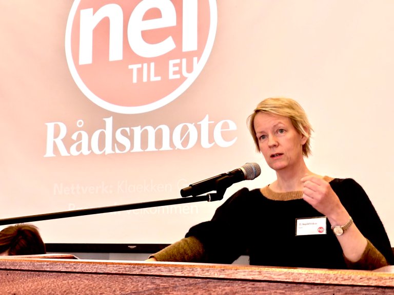 Ingrid Fiskaa på Nei til EUs rådsmøte. 
