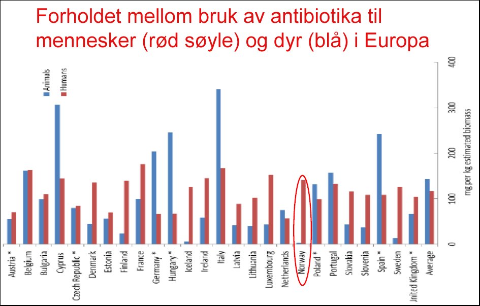 Antibiotikabruk