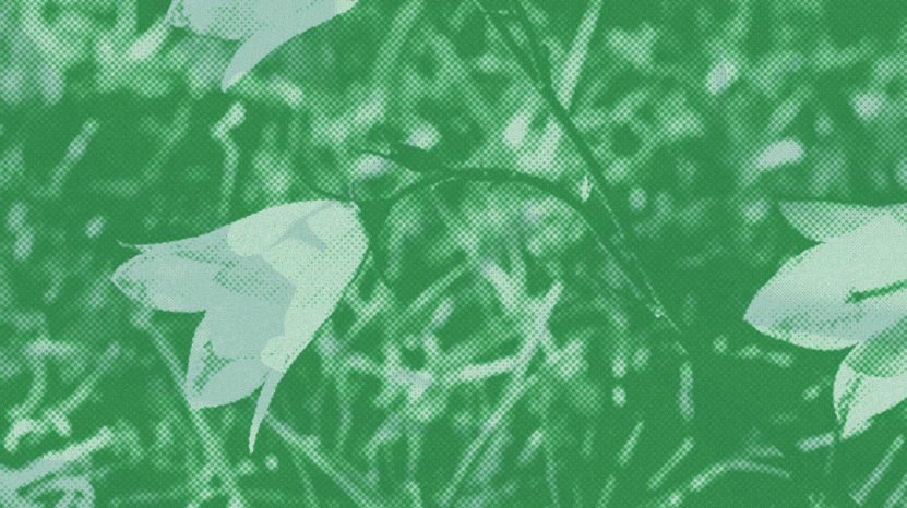 Forenkling på bekostning av miljø og klima