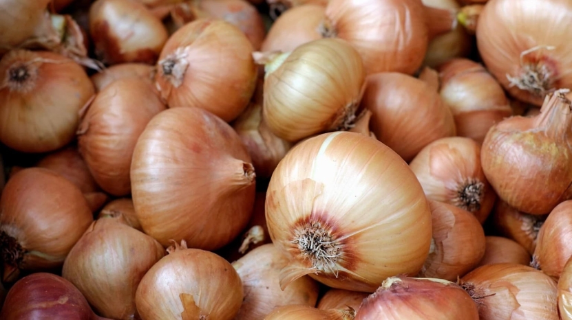 Jacobsen bommer om løk og EU