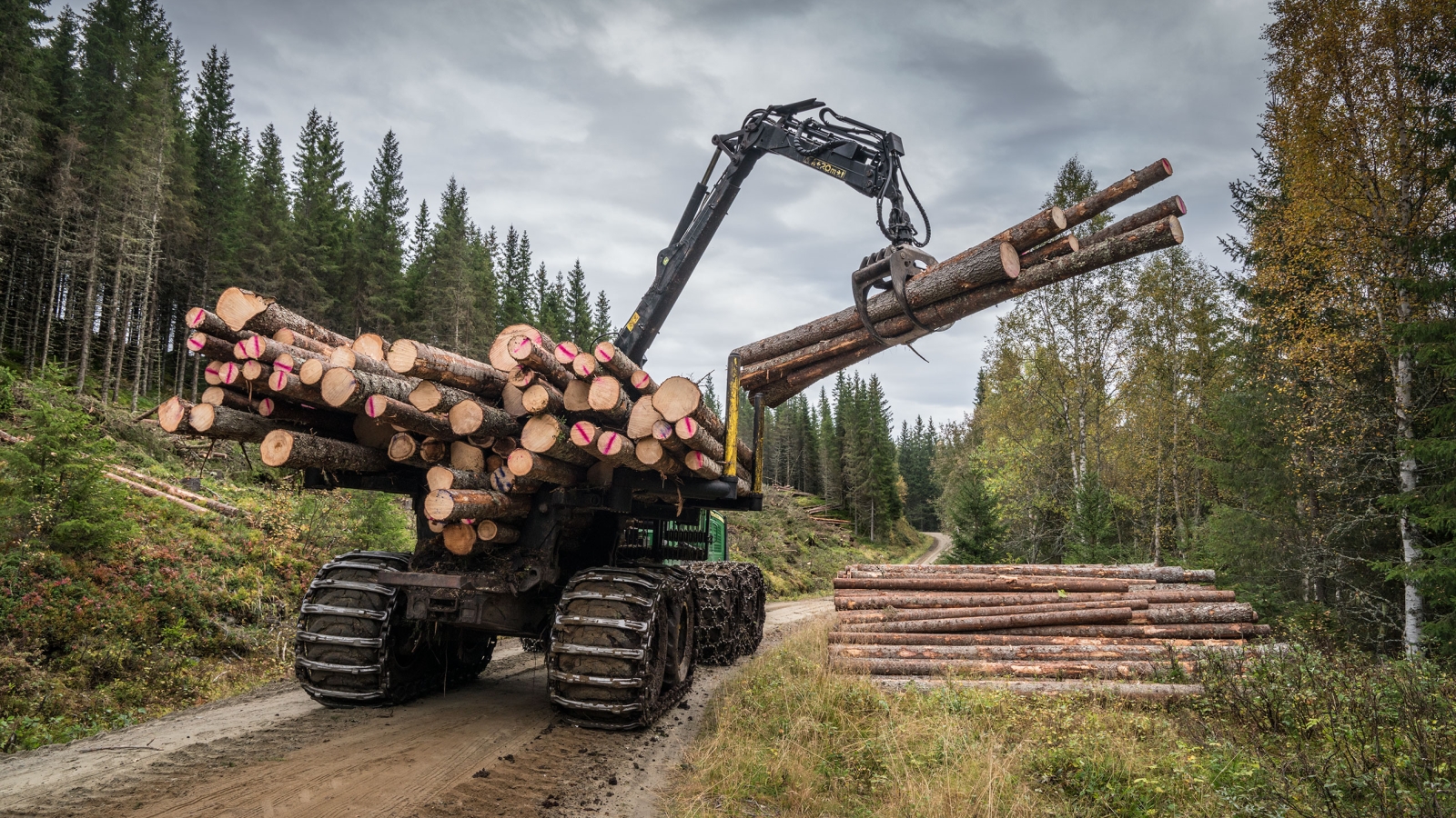 Skogsbilveg og lastbærer som lunner tømmer i Vesterå, Bangdalen.