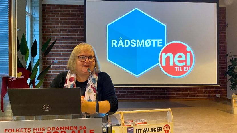 Fattigdom og helse, gapet mellom fattige og rike i EU