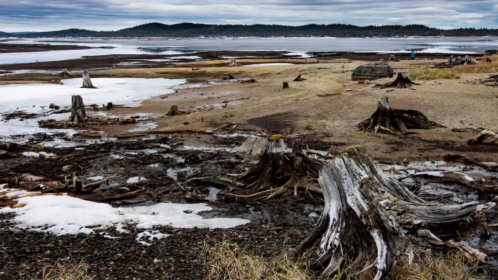 Tørrlagt vassdrag: Innsjømagasin i Selbu. 