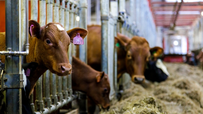 Her er flere gode grunner til ikke å gå inn i EUs tollunion