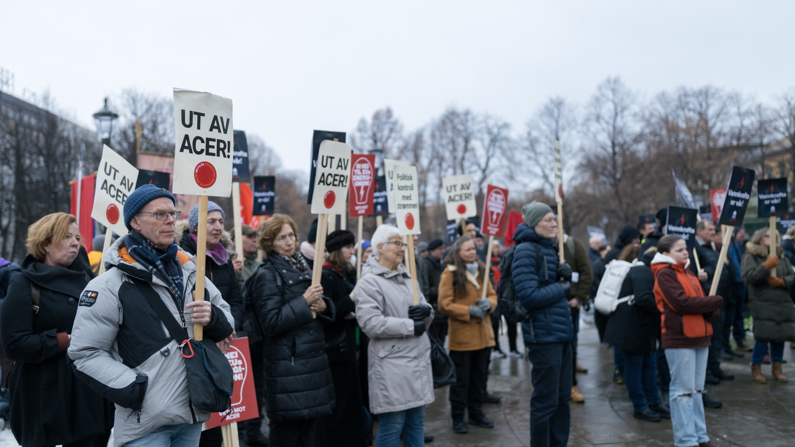 Demonstranter fra Nei til EU under aksjonsdagen for politisk styrte strømpriser 16. mars 2023 i Oslo. 