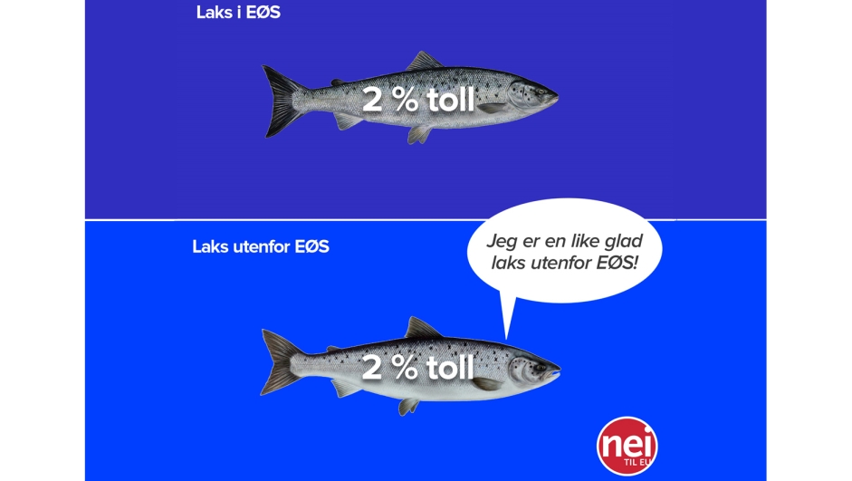 Tollen på laks er den samme med og uten EØS-avtalen. (Illustrasjon: Eivind Formoe og Jan R. Steinholt / Nei til EU.)