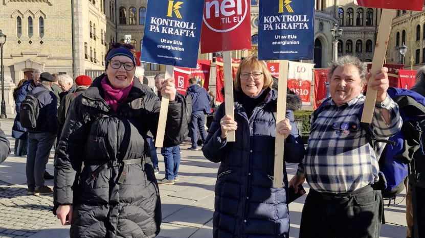 Østfold Nei til EU på kraftmarkering