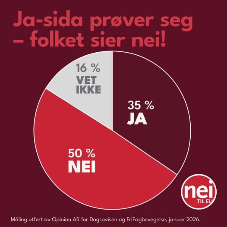 Kakediagram som viser 50 % nei, 35 % ja og 16 % vet ikke. 