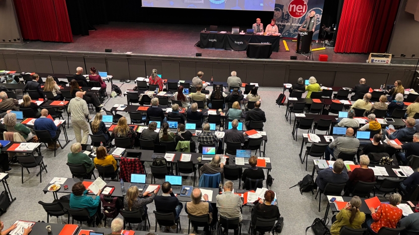 Bærebjelker for Nei til EU