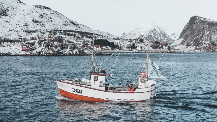 Som fisken i garnet