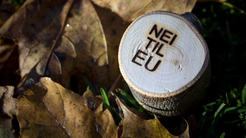 Årsmøtedokumenter 2021