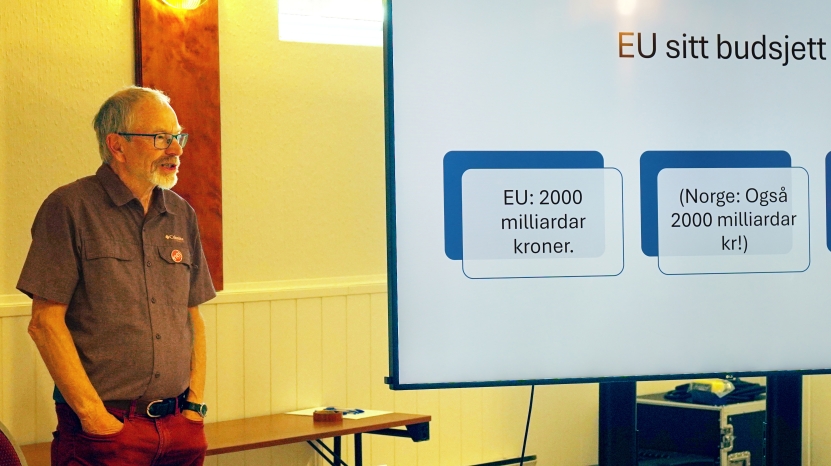 EU: Dagens situasjon og framtidsutsikter
