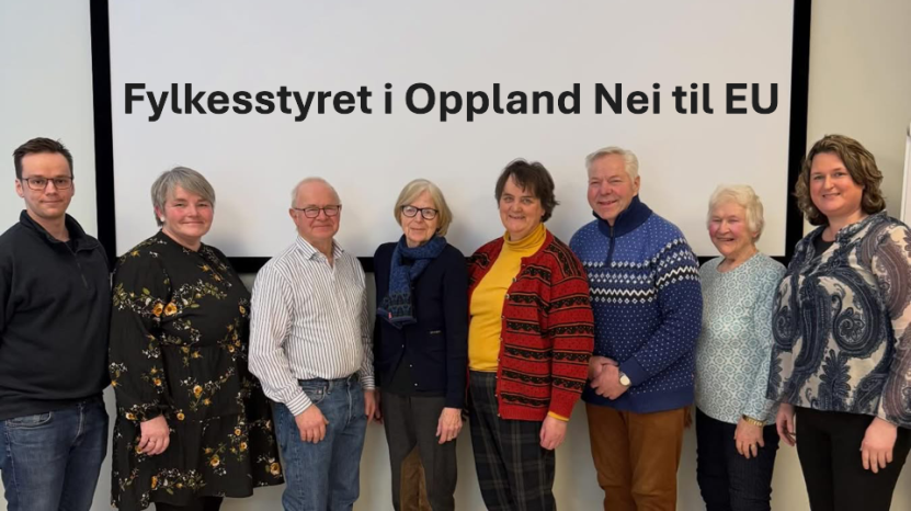 Vil båse liv i lokallaget til Nei til EU i Lillehammer og omegn