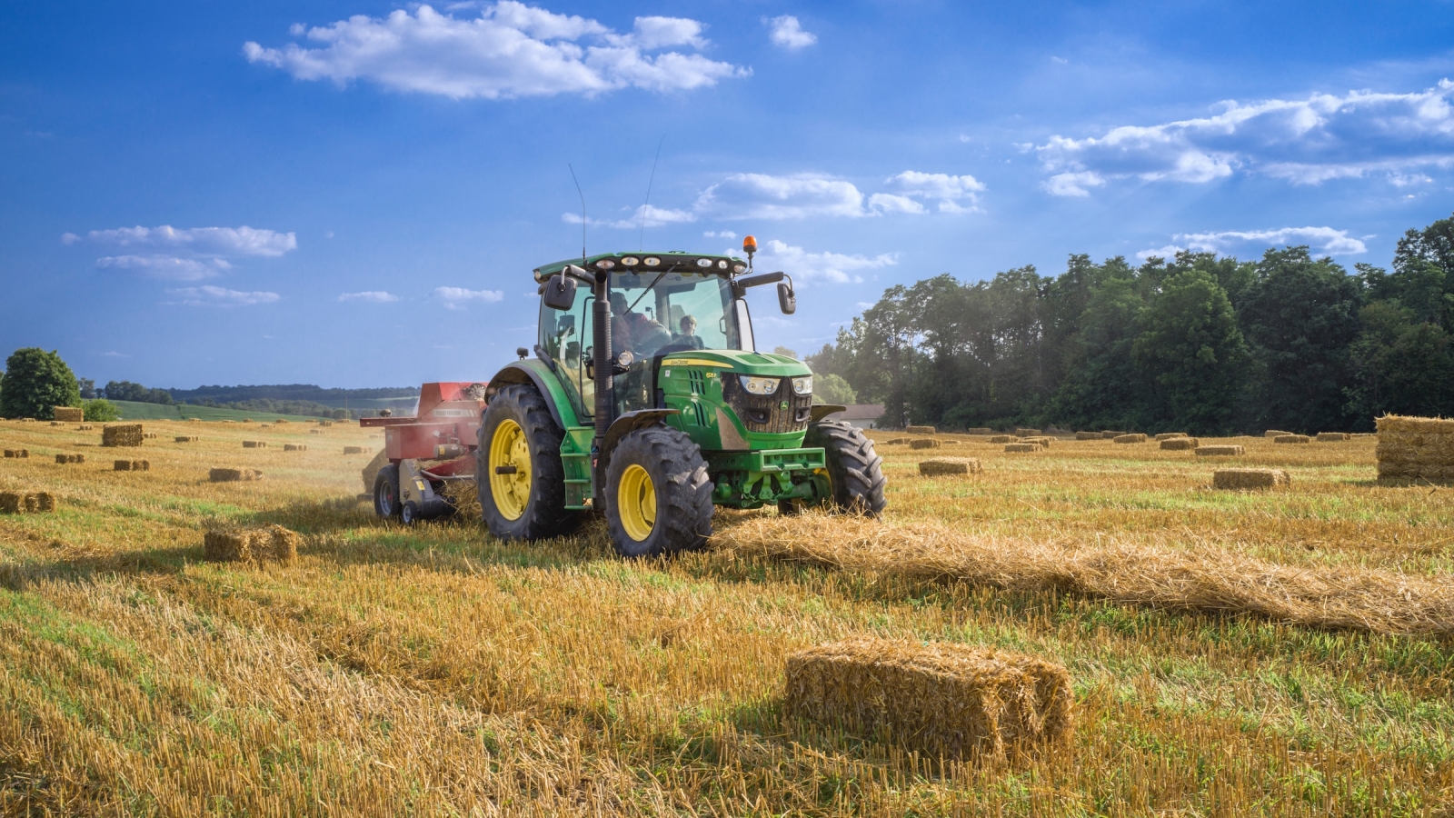Landbrukspolitikk. EU favoriserer industrialisert jordbruk og mesteparten av subsidiene går til store, intensive gårdsbruk med høy bruk av kunstgjødsel og plantevernmidler.