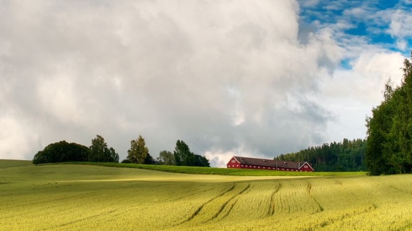 Jordbruket mister mer enn bare importvernet ved EU-medlemskap