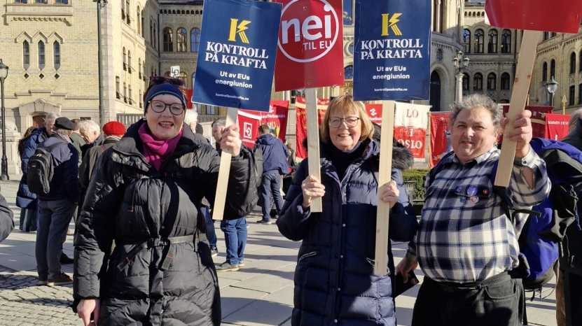 Norge har overskudd av kraft Mani Hussaini