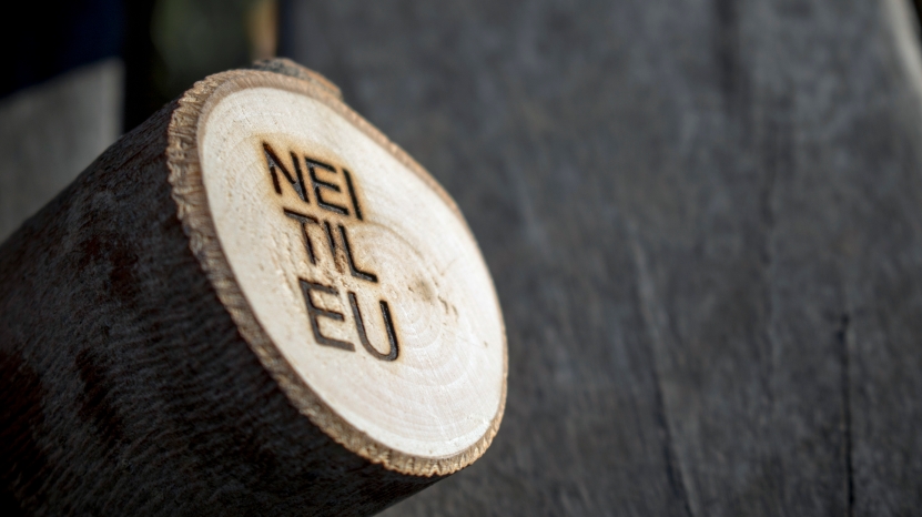 Telemark Nei til EU - Årsmøtedokumenter 2022