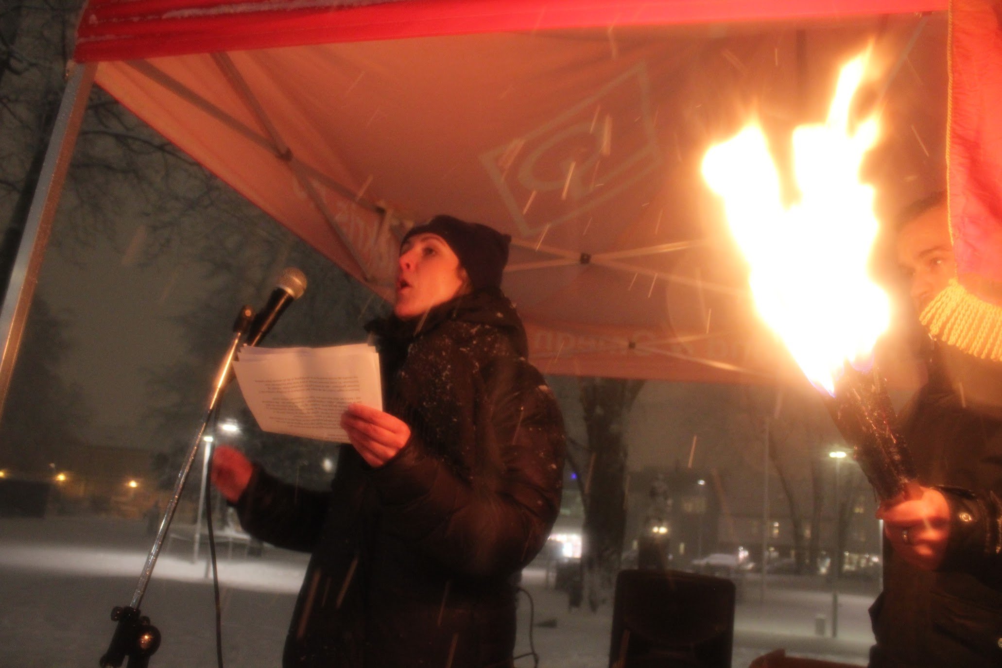 2080215-acer-krsand-alvestad