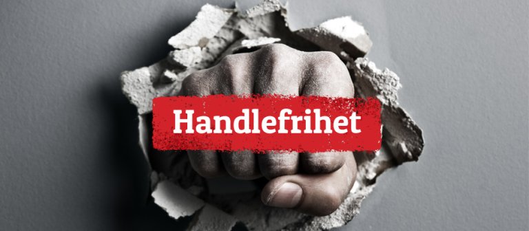 4grunner-handlefrihet