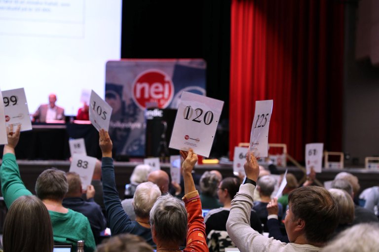 LM2024 votering.jpg