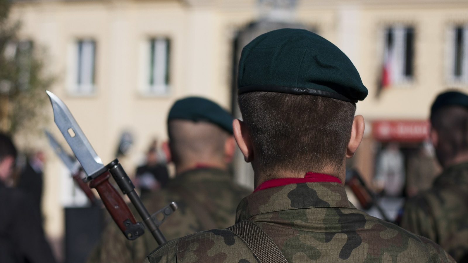 Uka som gikk: EU ødelegger internett, vil ha egen hær og slåss om migranter