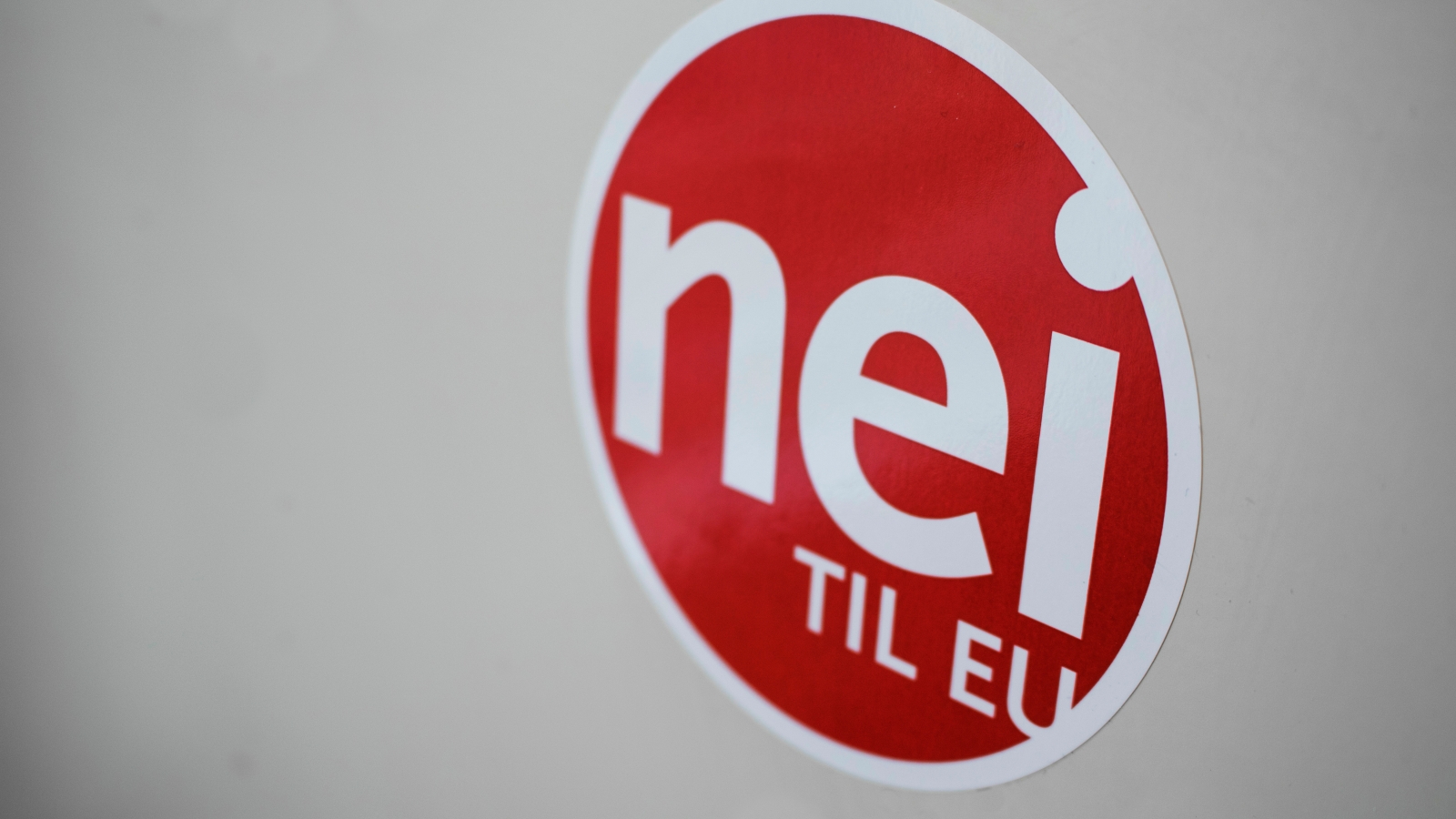 Nei til EU søker organisasjonsrådgiver