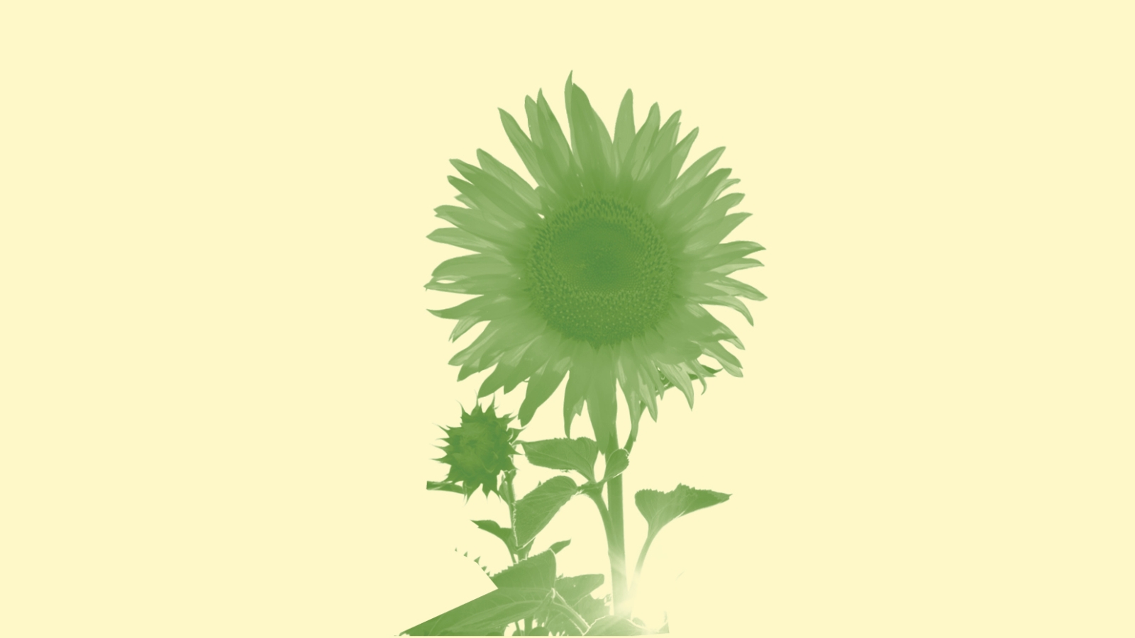 EU svekker klimamålet sitt frem mot 2040 