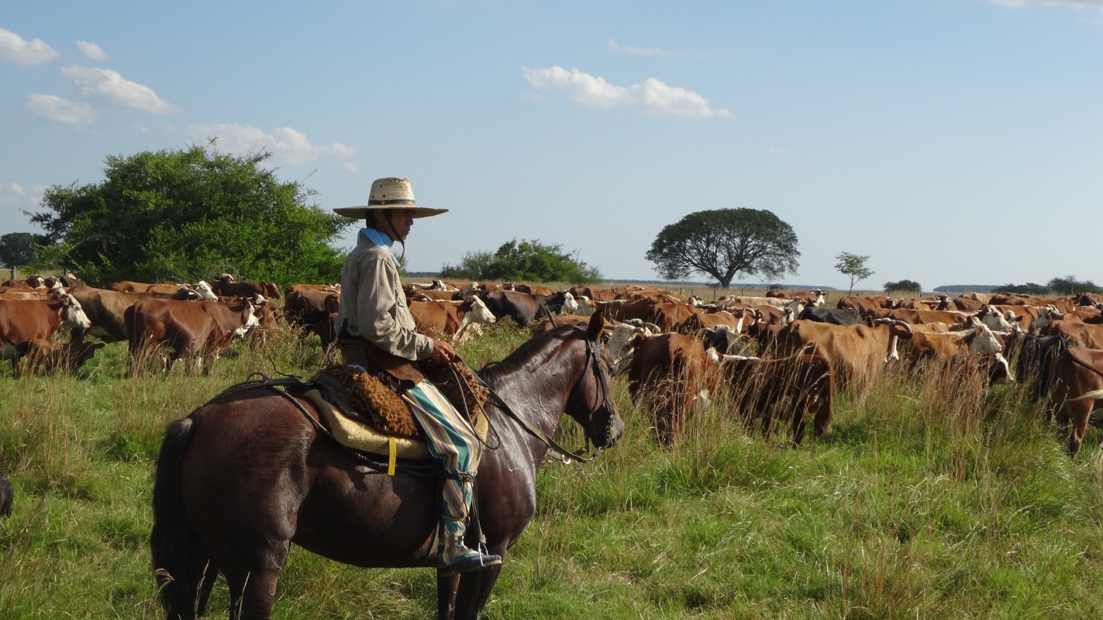 Ratifiseringsprosessen har begynt for EU-Mercosur avtalen