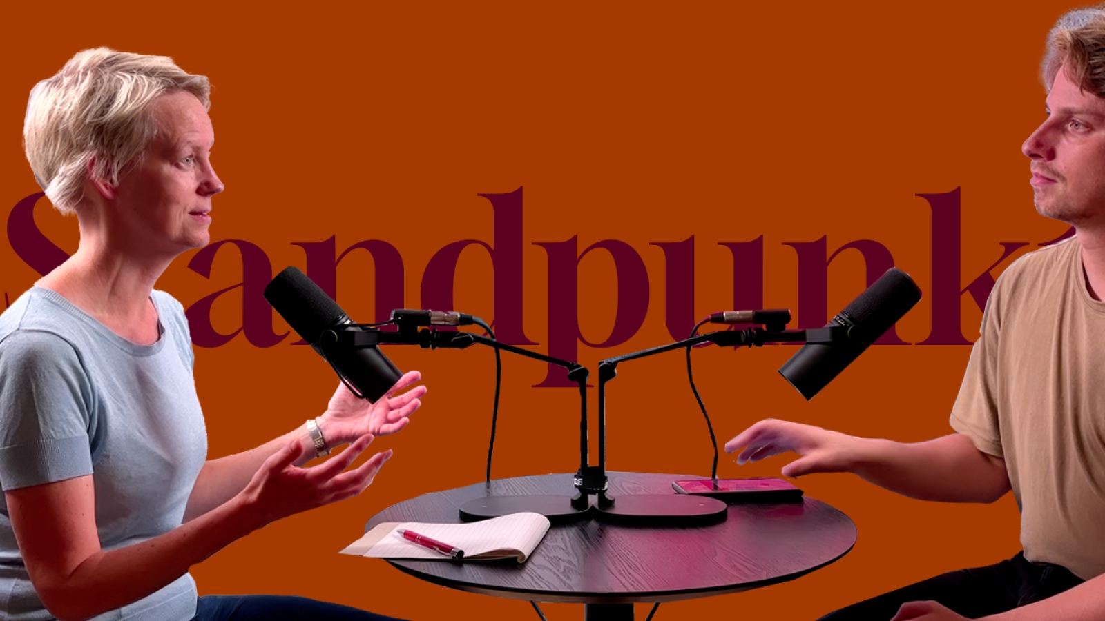 Standpunkt: Gjenopptar Island EU-forhandlingene?