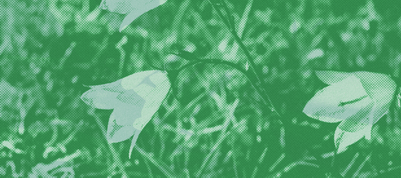 Forenkling på bekostning av miljø og klima