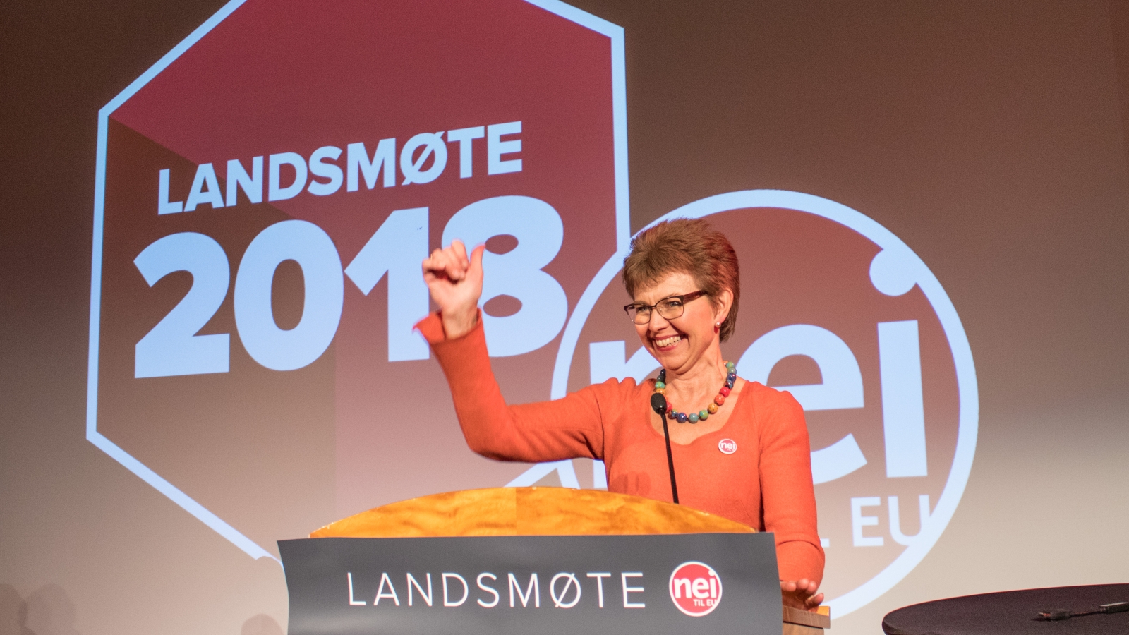 EØS-avtalen fremmer sosial dumping og øker klasseskillene