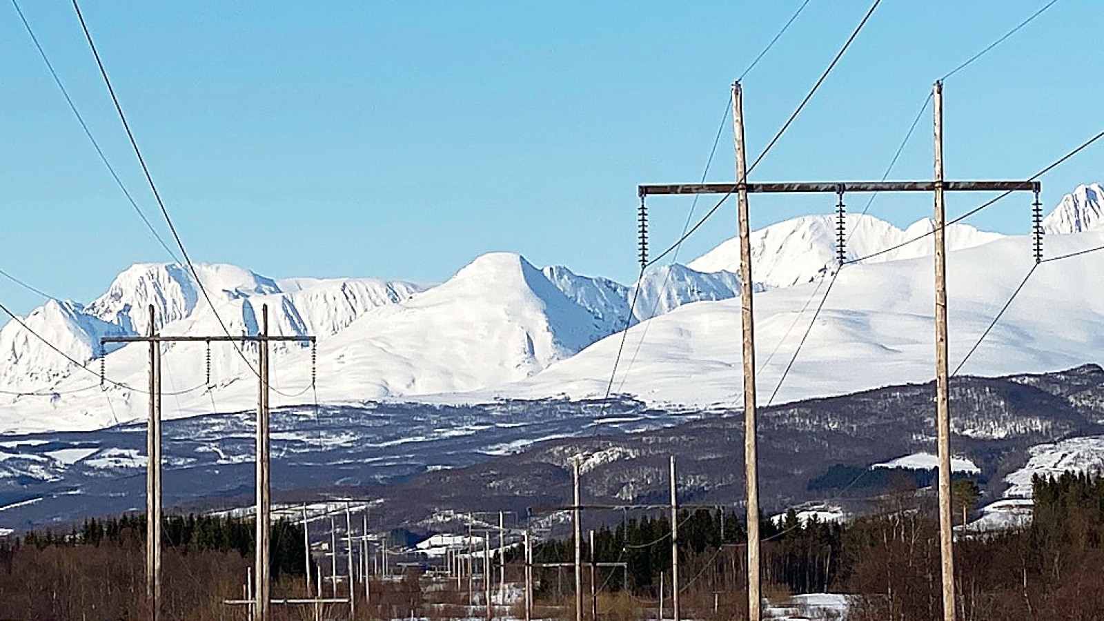 Stem på ein neikandidat i Troms!
