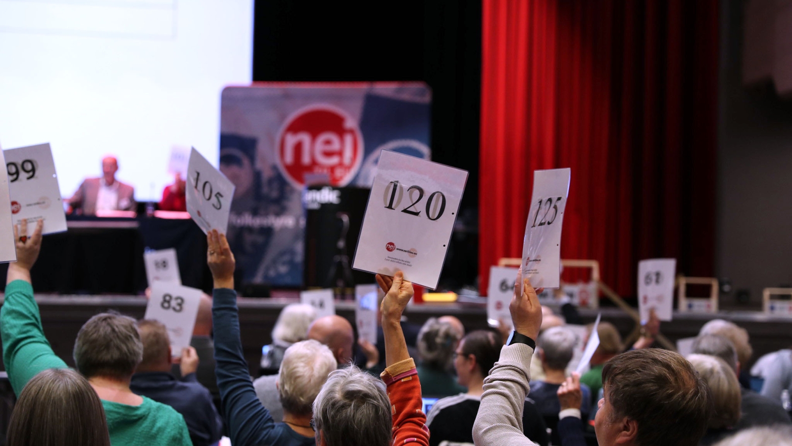 Nei til EU søker politisk rådgiver – vikariat