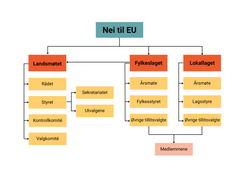 Grafisk oversikt over de ulike organene i Nei til EU.